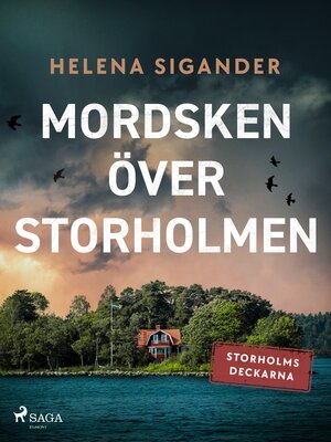 cover image of Mordsken över Storholmen